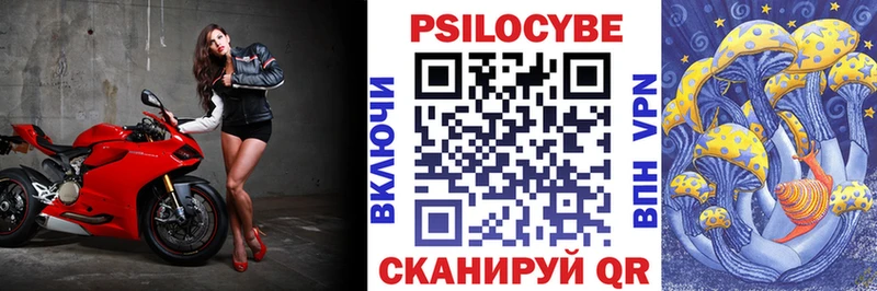 Галлюциногенные грибы мицелий ссылка на мегу маркетплейс Балабаново