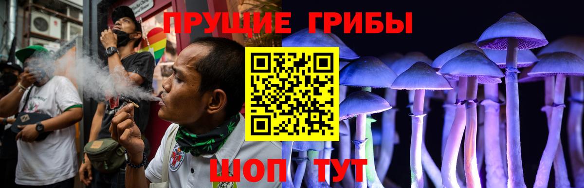 Псилоцибиновые грибы мицелий Балабаново